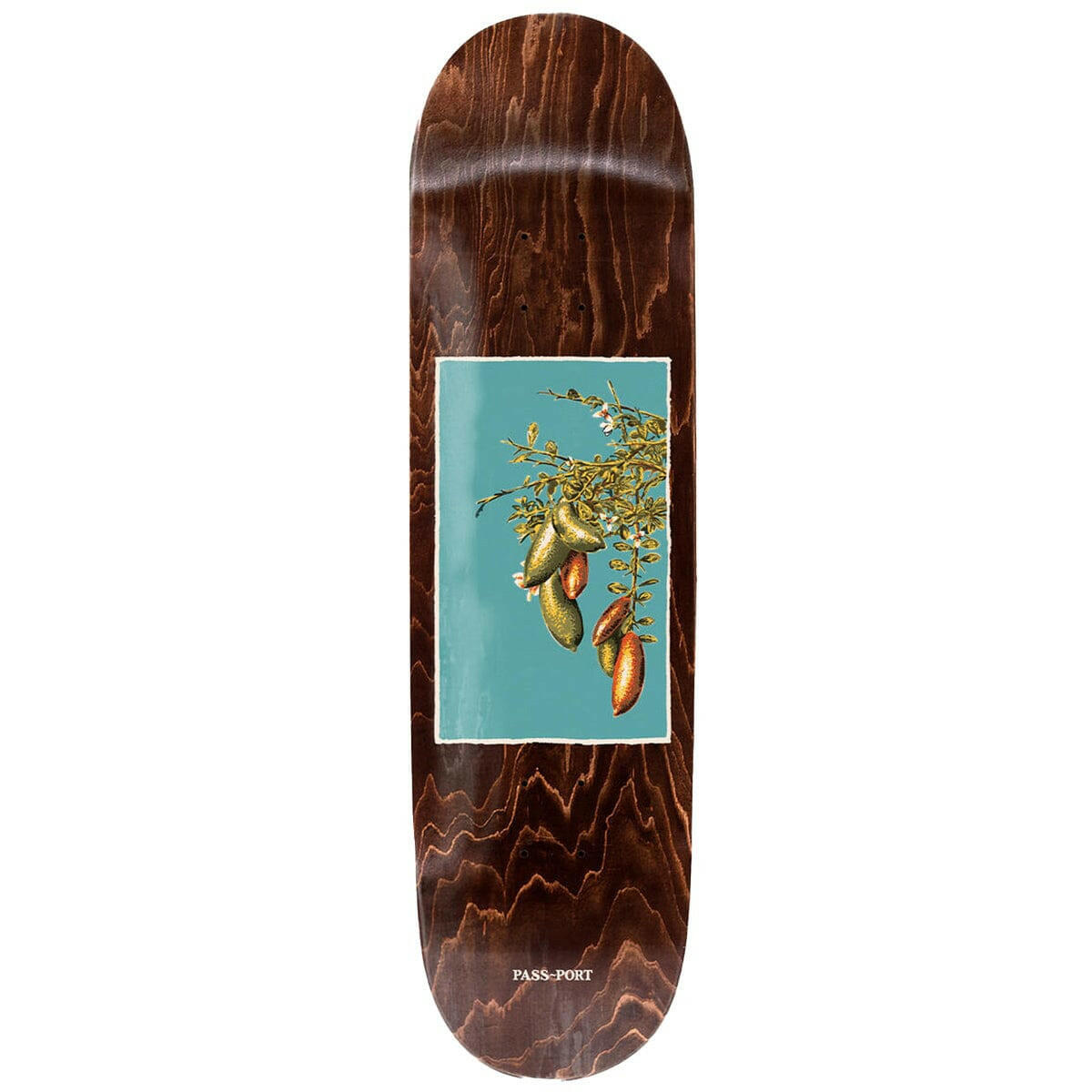 Pass~Port - Native Fruits Lime 8.25 Skateboard Deck.