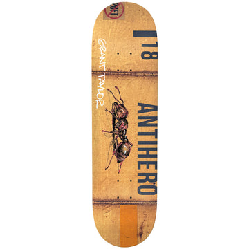 Anti Hero Grant Taylor Intermodal 8.32 Skateboard Deck