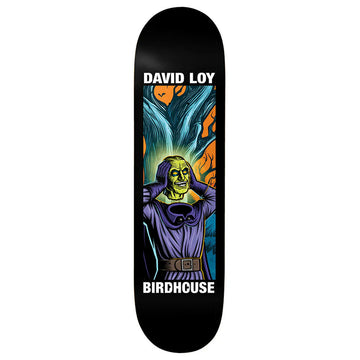 Birdhouse - David Loy Second Life 8.5 Skateboard Deck.