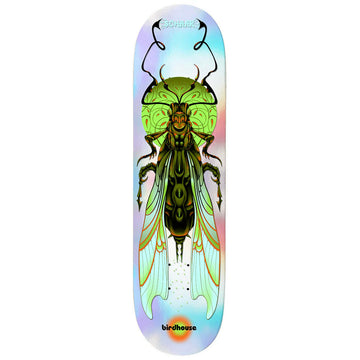 Birdhouse - Tom Schaar Ilham Insects 8.25 Skateboard Deck.
