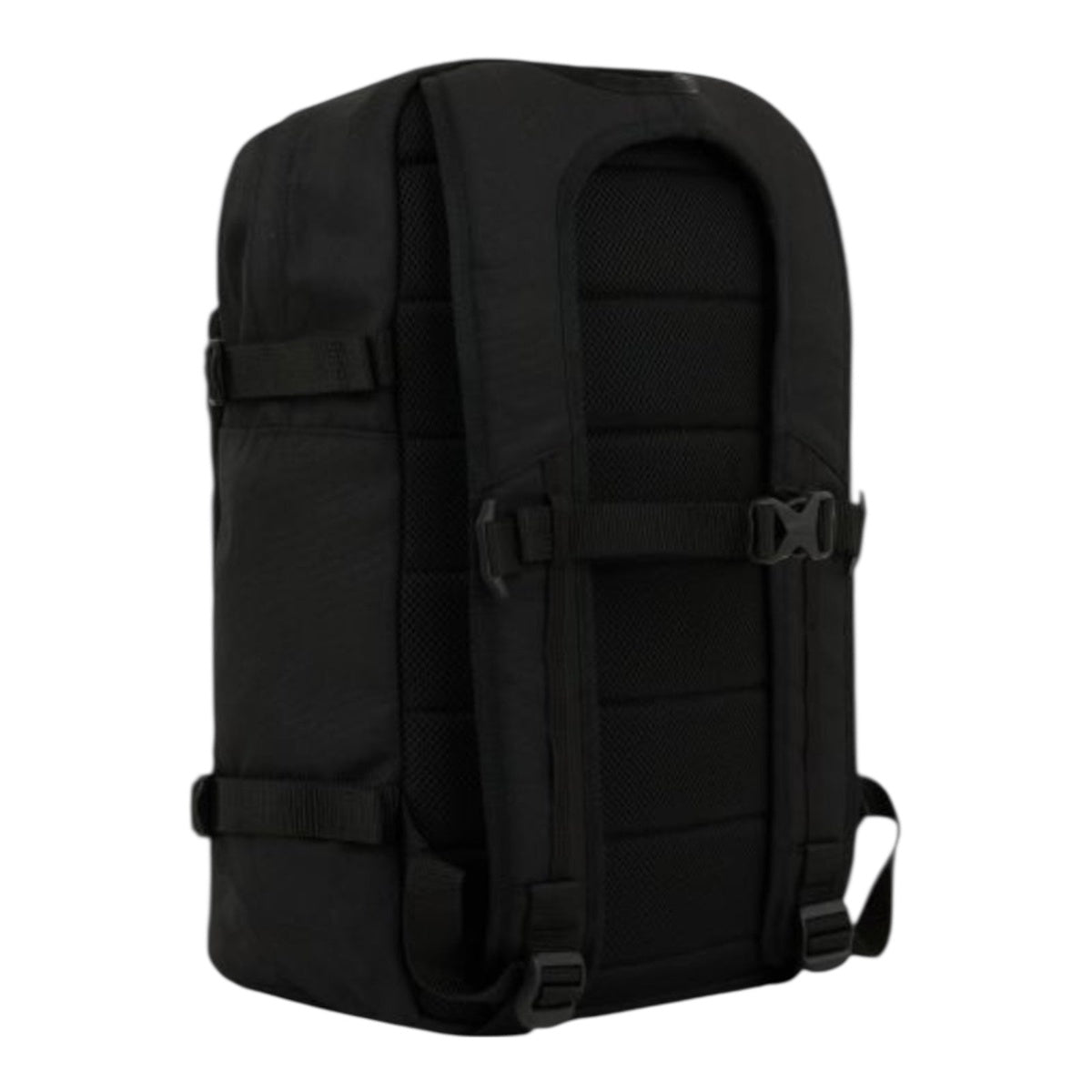 Dickies Mike Anderson Pro Skate Backpack Black – back view