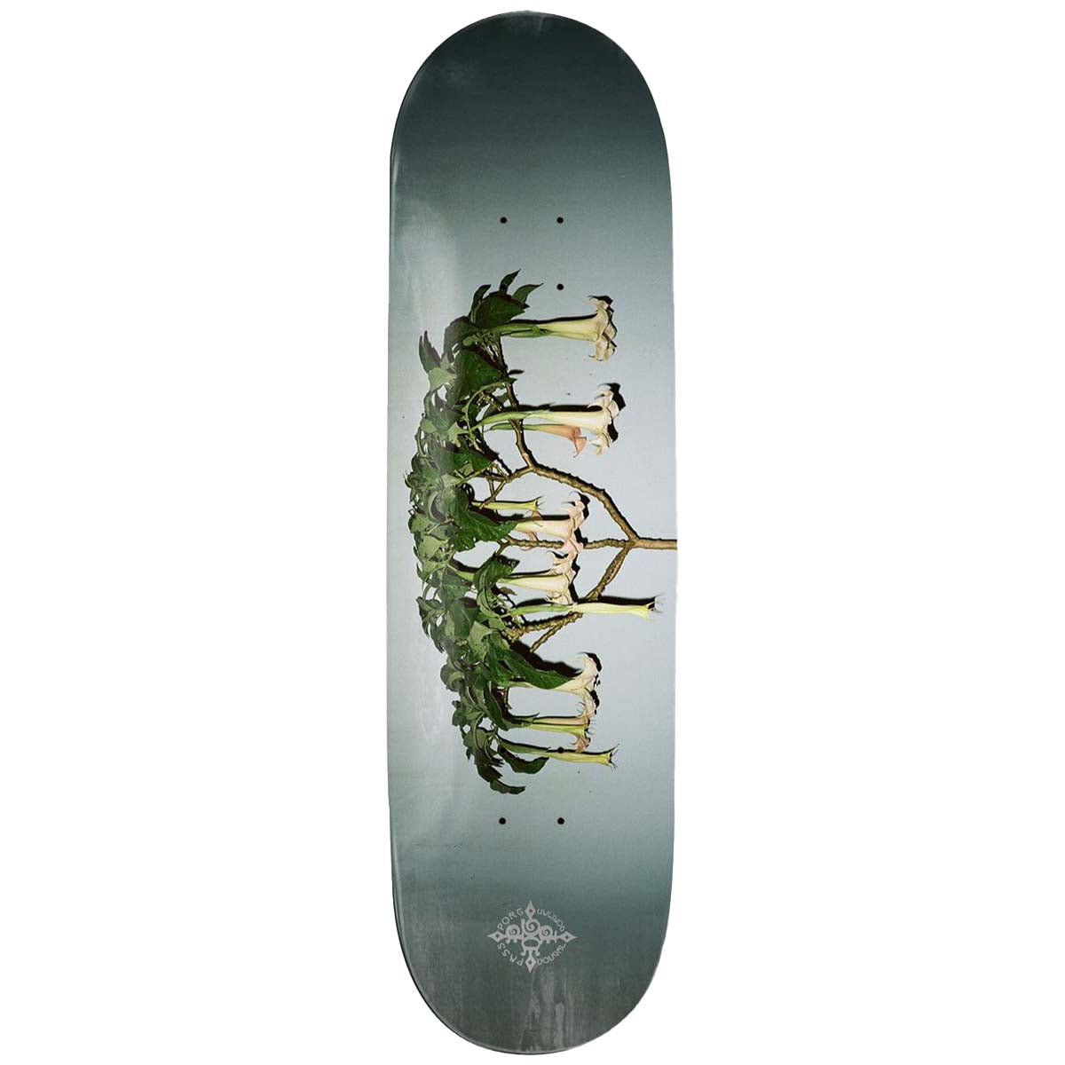 Pass~Port Angel Trumpets 8.125 Skateboard Deck