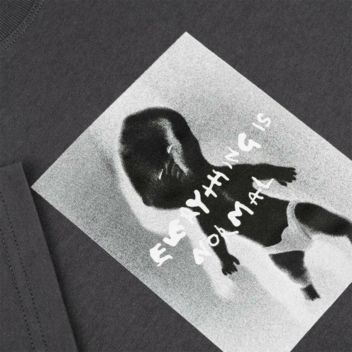 Polar - Everything Is Normal Tee Graphite.