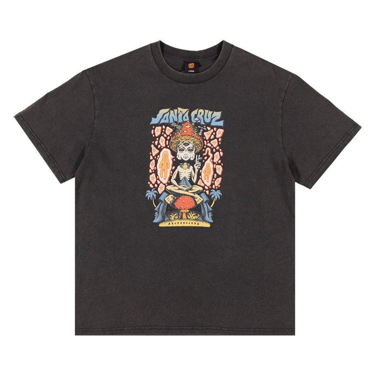 Santa Cruz - Winkowski Spaced Out Front Tee Washed Off Black - front view