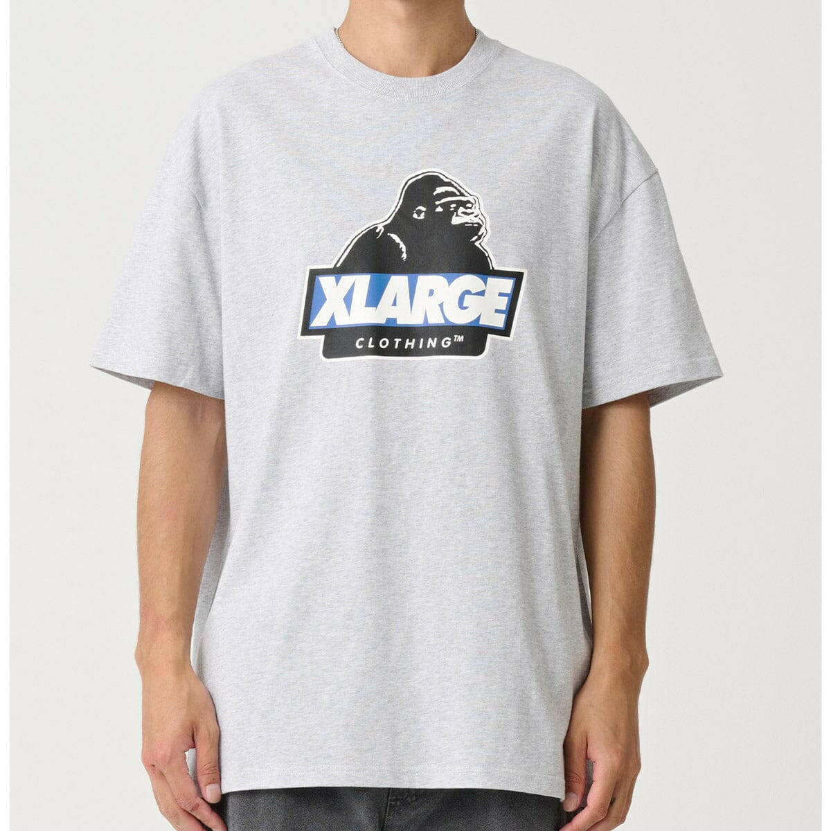 XLarge - Slanted Tee Ash Heather.
